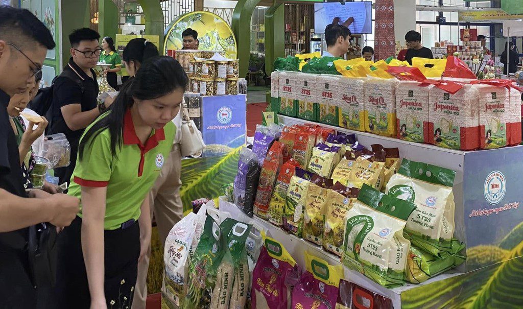 🌍 Kỳ vọng phát triển nông sản chủ lực từ chương trình OCOP 6 Động lực phát triển nông sản chủ lực từ chương trình OCOP vươn tầm thế giới