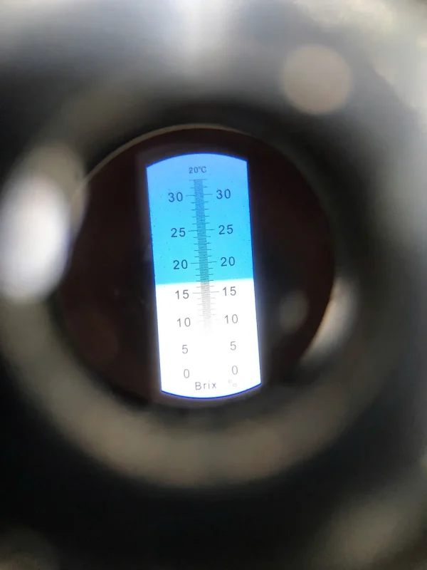 Dưa Lưới Xanh Teal Đài Loan 11 Dưa lưới Ngân Long hình oval tròn, màu trắng, vỏ mỏng, vân lưới đều đẹp, ruột cam.