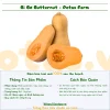 Bí Bơ Potas - Bí Đỏ Butternut 1 Bí Bơ Potas – Bí đỏ butternut vỏ vàng, ruột cam, giàu vitamin A, C, chất xơ, hỗ trợ tiêu hóa, tim mạch và miễn dịch. Đặt hàng ngay tại Potas.vn!