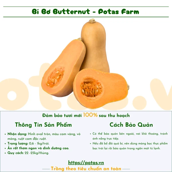 Bí Bơ Potas – Bí đỏ butternut vỏ vàng, ruột cam, giàu vitamin A, C, chất xơ, hỗ trợ tiêu hóa, tim mạch và miễn dịch. Đặt hàng ngay tại Potas.vn!