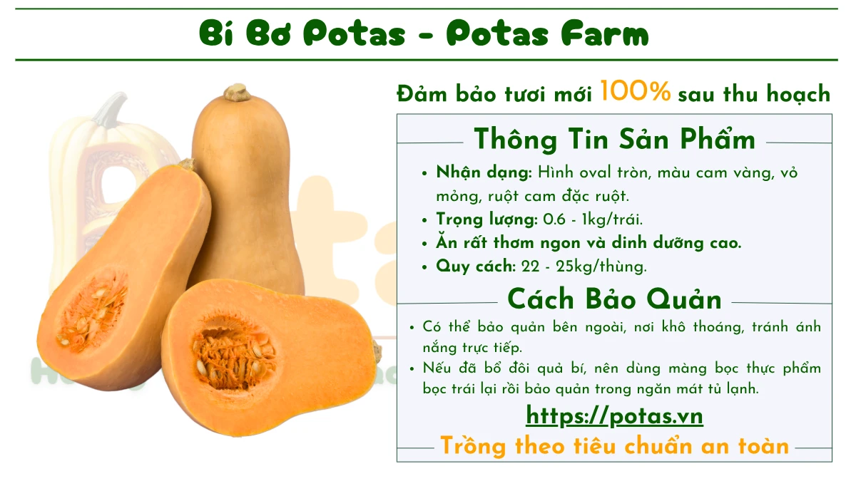 Bí Bơ Potas - Bí Đỏ Butternut 9 Bí Bơ Potas – Bí đỏ butternut vỏ vàng, ruột cam, giàu vitamin A, C, chất xơ, hỗ trợ tiêu hóa, tim mạch và miễn dịch. Đặt hàng ngay tại Potas.vn!