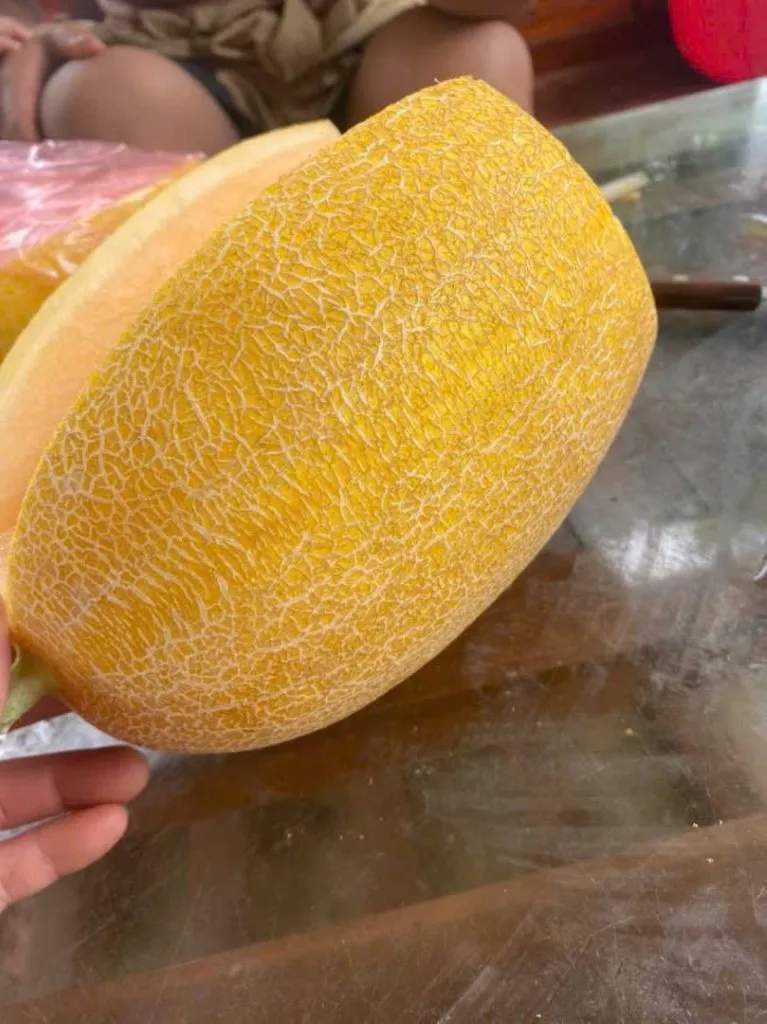 🍈 Dưa Lưới Pikalong – 1 Lựa Chọn Đáng Cân Nhắc Cho Người Trồng Tại Nhà 10 Dưa Lưới Pikalong không phải là giống dưa đắt đỏ, không phải nổi tiếng nhất, nhưng lại khiến nhiều người trồng lưu luyến vì vị giòn ngọt của dưa.