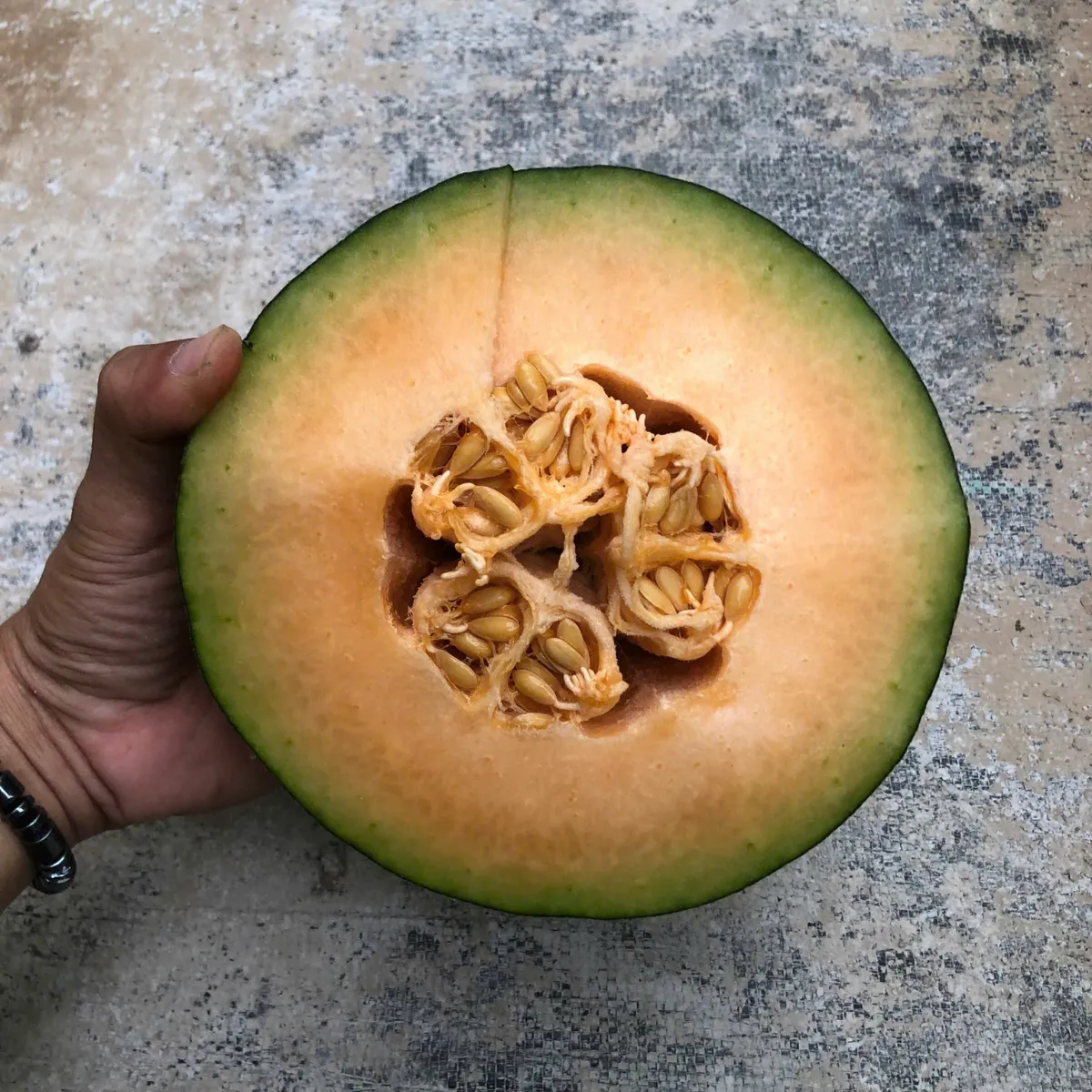 🍈 Dưa Lưới Mật Teal – Dưa Mật Đài Loan Tại Nông Trại Potas 8 Dưa lưới Mật Teal (Dưa Mật Đài Loan) ruột cam, giòn, ngọt đậm 14–16 Brix, vỏ xanh ngọc bắt mắt, thơm lừng khi chín. Bán chạy nhất tại Potas.vn