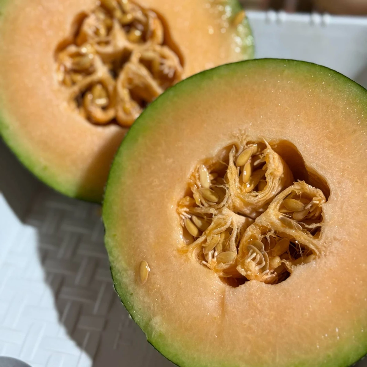 Dưa lưới Mật Teal (Dưa Mật Đài Loan) ruột cam, giòn, ngọt đậm 14–16 Brix, vỏ xanh ngọc bắt mắt, thơm lừng khi chín. Bán chạy nhất tại Potas.vn