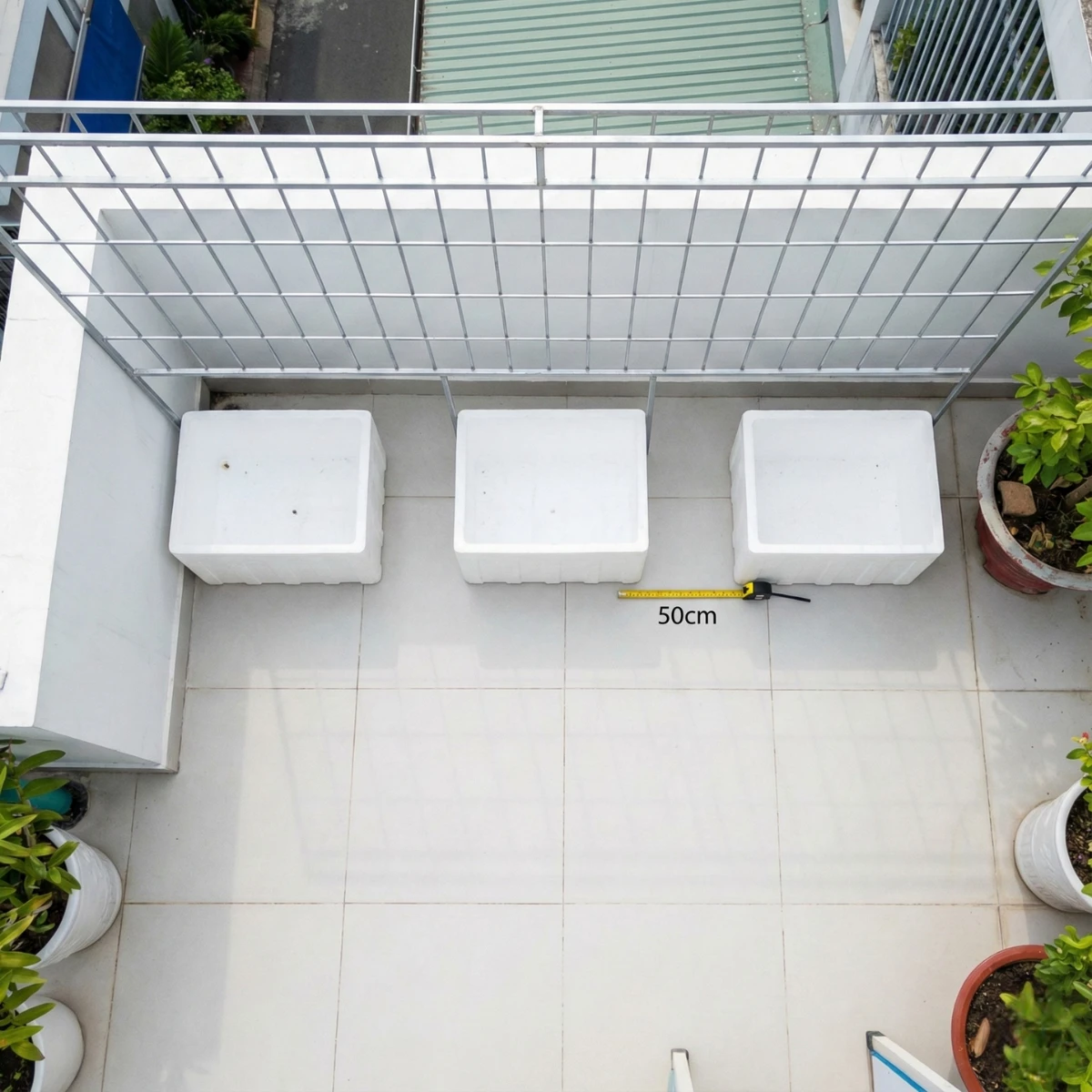 🪴 Hướng Dẫn Chọn Chậu Trồng Bí Đỏ Sân Thượng: Đủ Sâu & Thoát Nước 7 Lão Nông hướng dẫn cách chọn chậu trồng bí đỏ sân thượng, chọn thùng xốp trồng bí đỏ đủ sâu, thoát nước tốt để rễ khỏe, trái sai cho người mới bắt đầu.